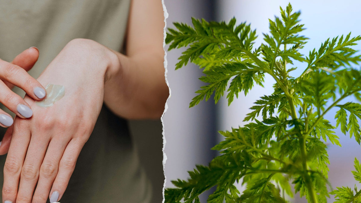 Links eine Frau welche sich etwas Salbe auf der Hand verteilt. Rechts eine Aufnahme einer Atemisia annua Pflanze