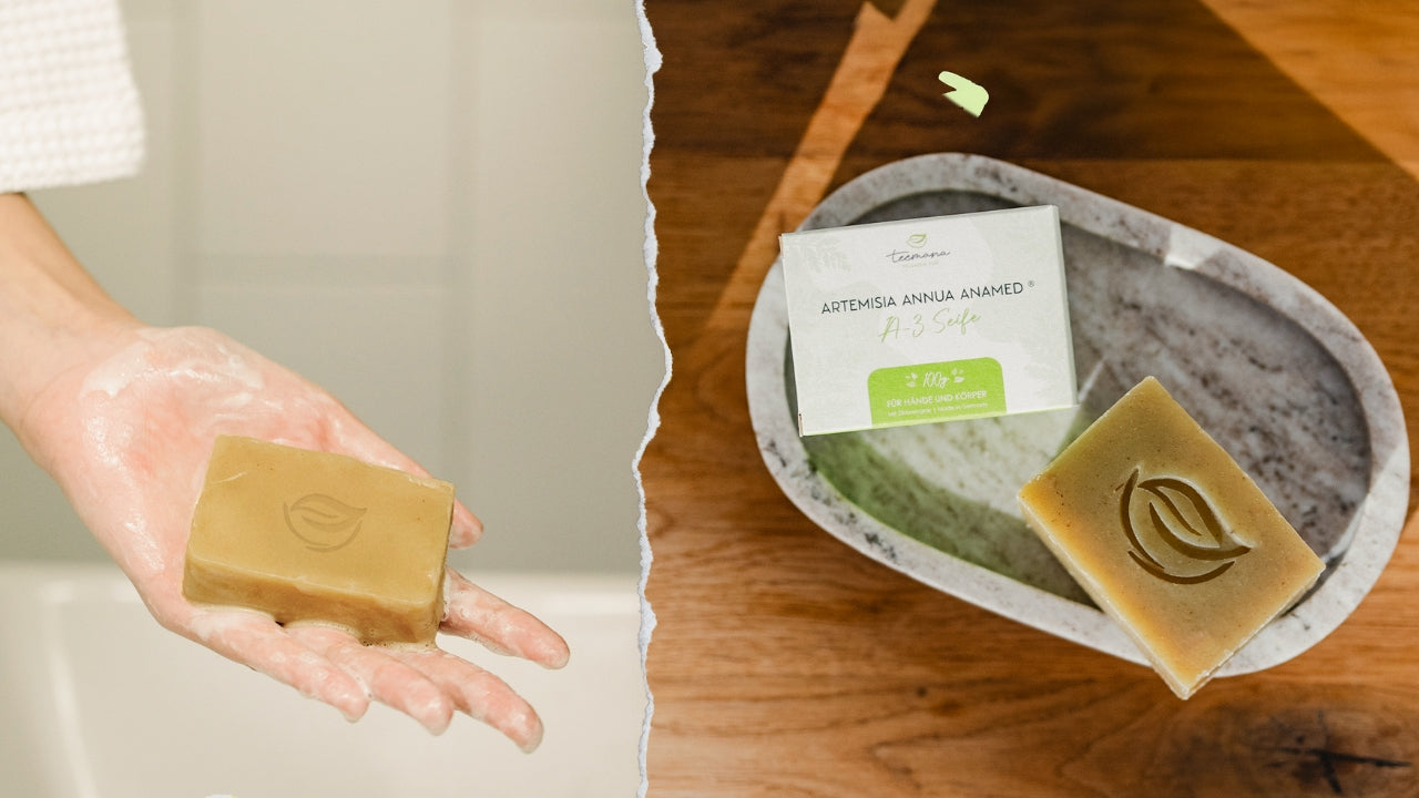 Naturseife mit Blattprägung liegt in einer Seifenschale aus Stein neben einer Produktverpackung mit der Aufschrift ‚Artemisia Annua Anamed A-3 Seife – Für Hände und Körper‘ auf einem Holzuntergrund.