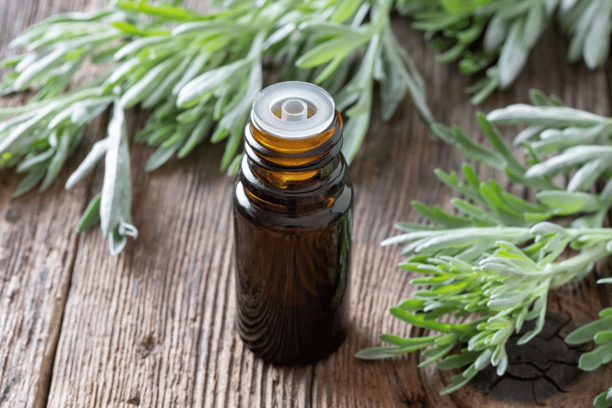 Un pequeño vaso marrón sobre una superficie de madera, rodeado de plantas verdes 